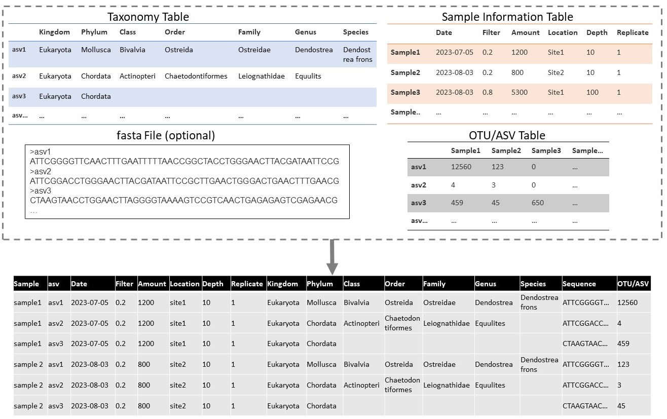 Combining multiple DNA data tables into one “long format” table