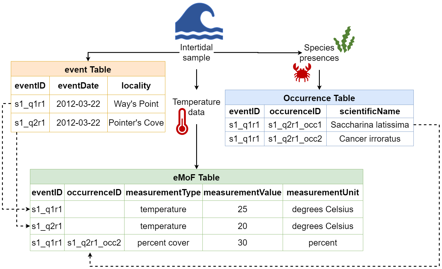 Example of how sample data is distributed to core and extension tables, and how these tables are connected in OBIS