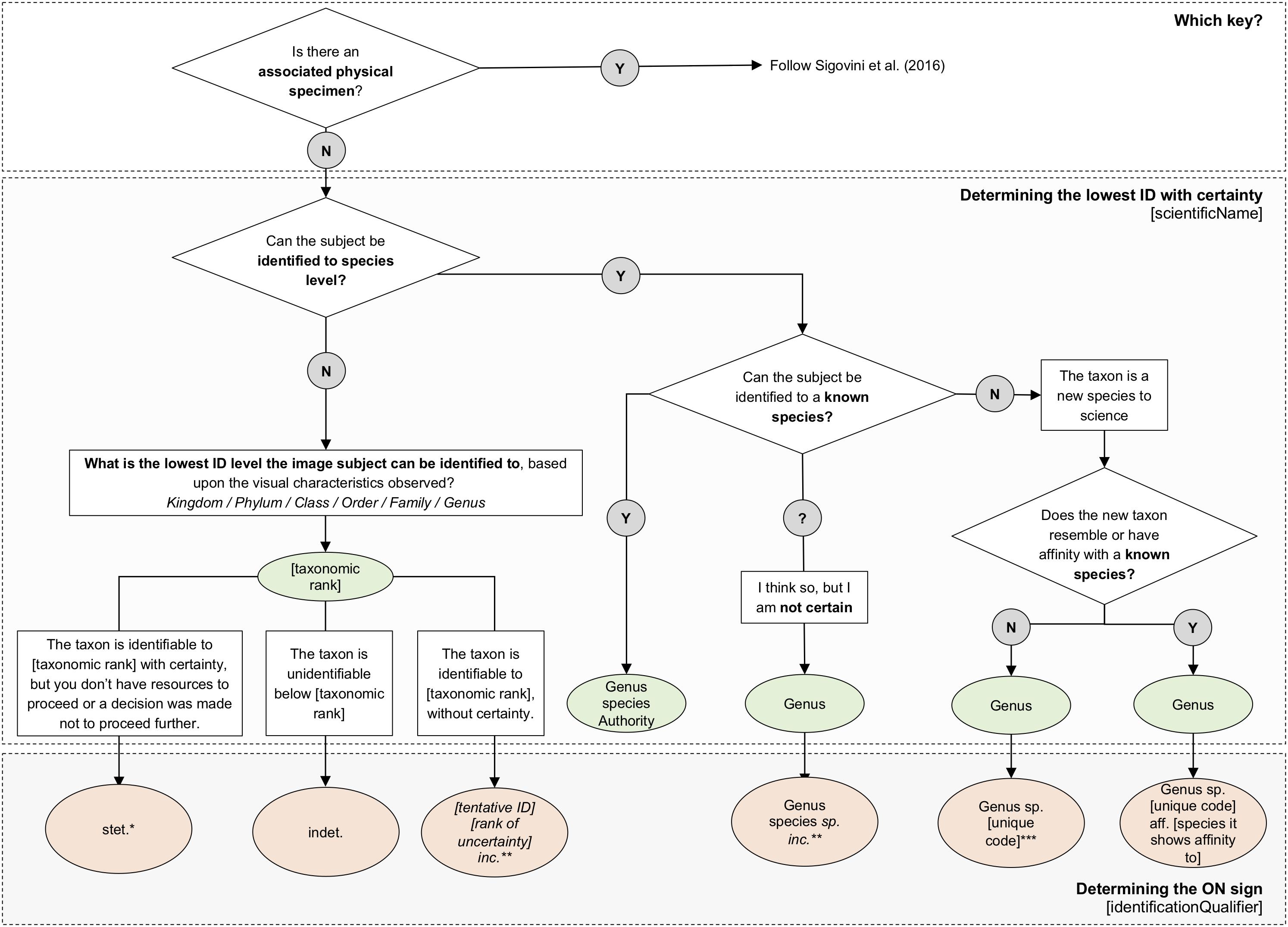 Figure 2: Flow diagram with the main Open Nomenclature qualifiers for the identification of specimens from images (non-physical, image-based) . More information and figure copied from Recommendations for the Standardisation of Open Taxonomic Nomenclature for Image-Based Identiﬁcations